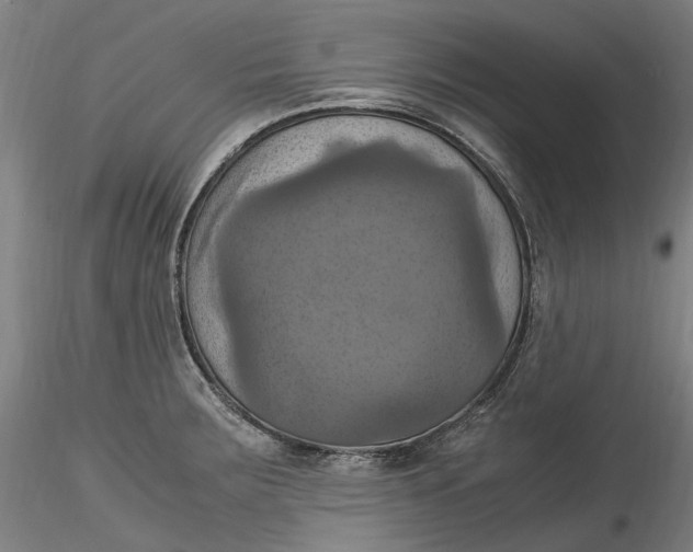 X0000115561283200911271448