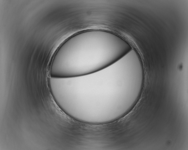 X0000115561284200911271448