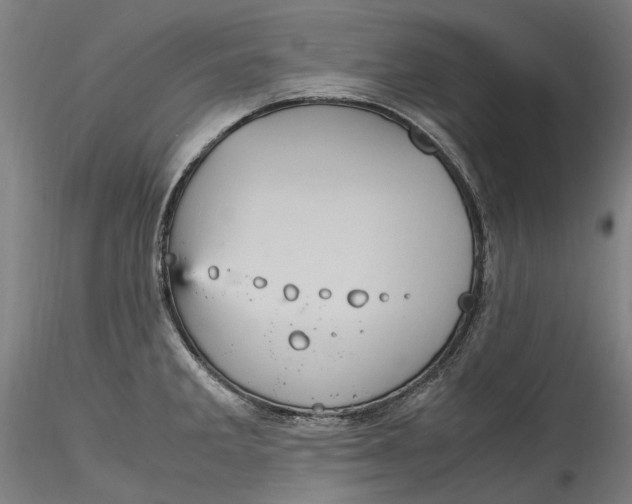 X0000115561285200911271448