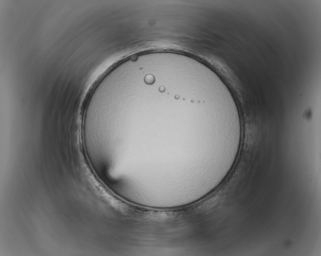 X0000115561286200911271448