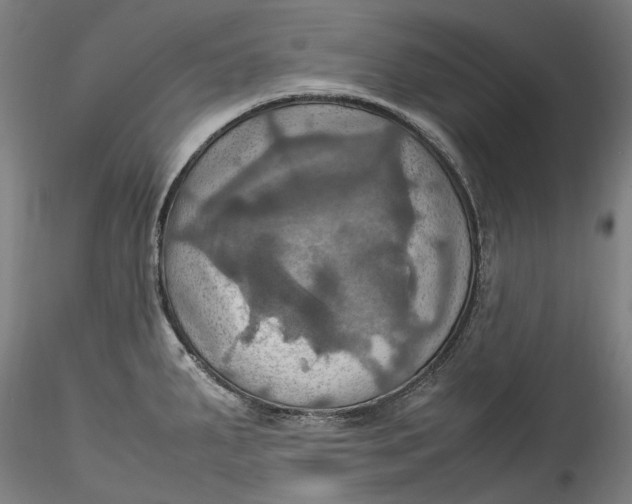 X0000115561287200911271448