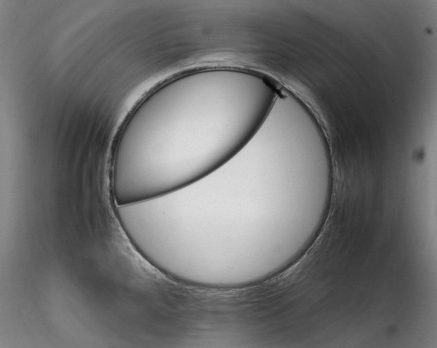 X0000115561288200911271448