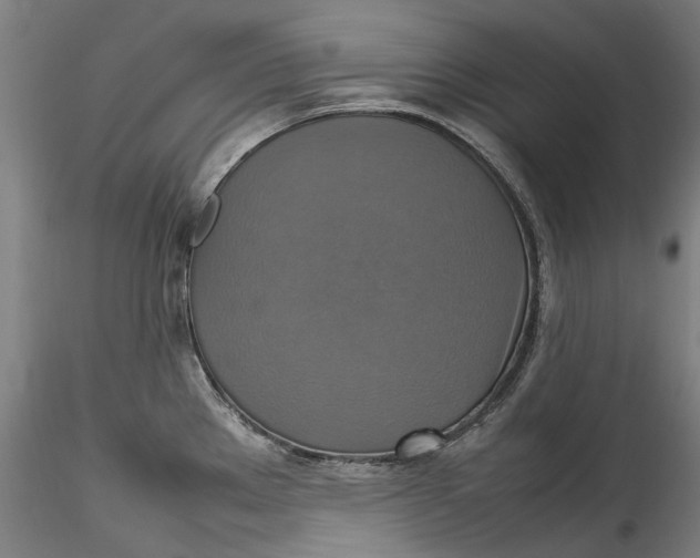 X0000115561289200911271448