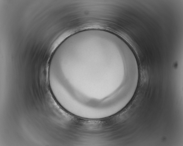 X0000115561290200911271448