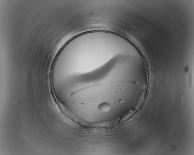 X0000115561291200911271448