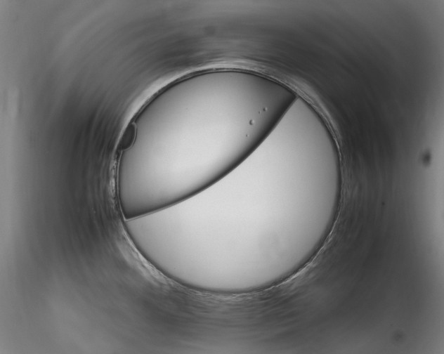 X0000115561292200911271448