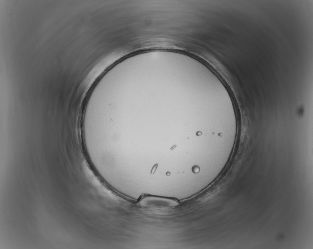 X0000115561293200911271448