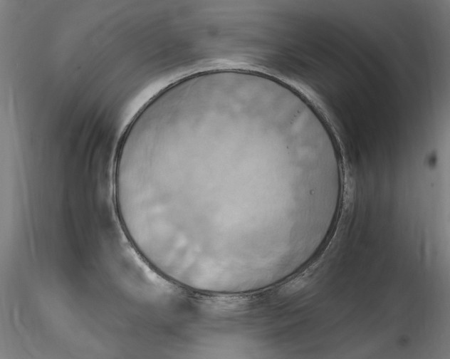 X0000115561294200911271448