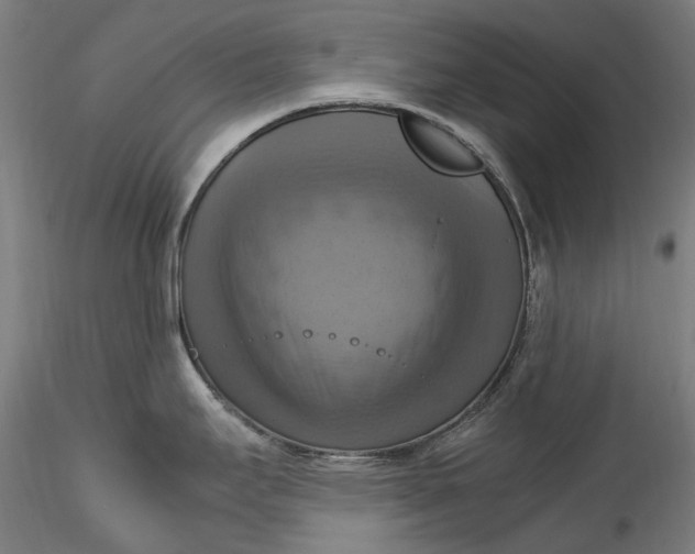 X0000115561295200911271448