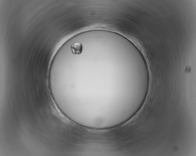 X0000115561296200911271448