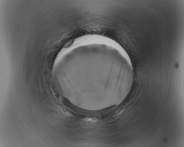 X0000115561297200911271447