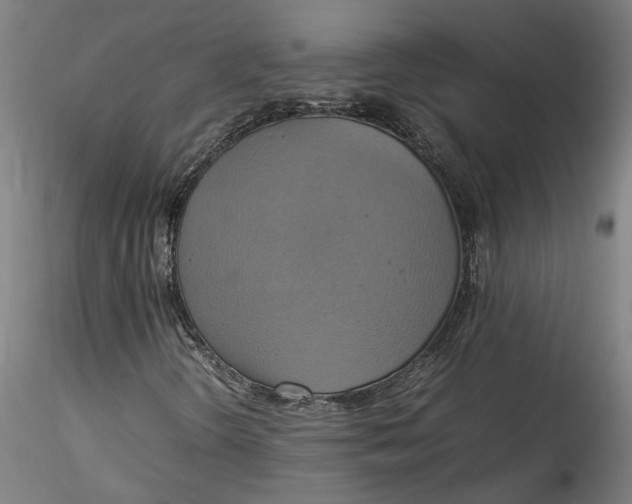 X0000115561298200911271447