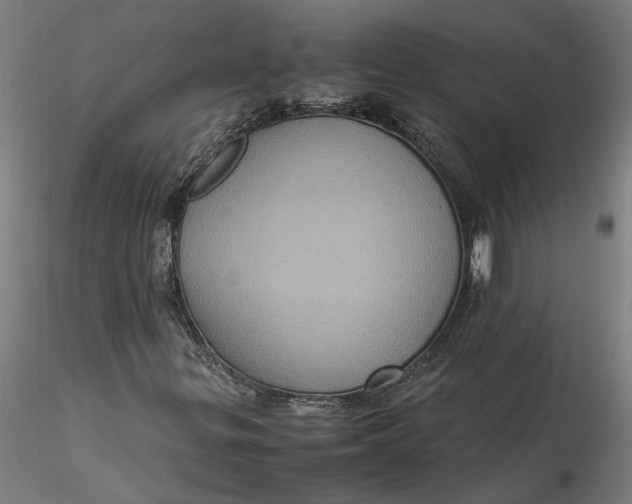 X0000115561299200911271447