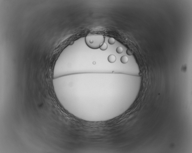 X0000115561301200911271447