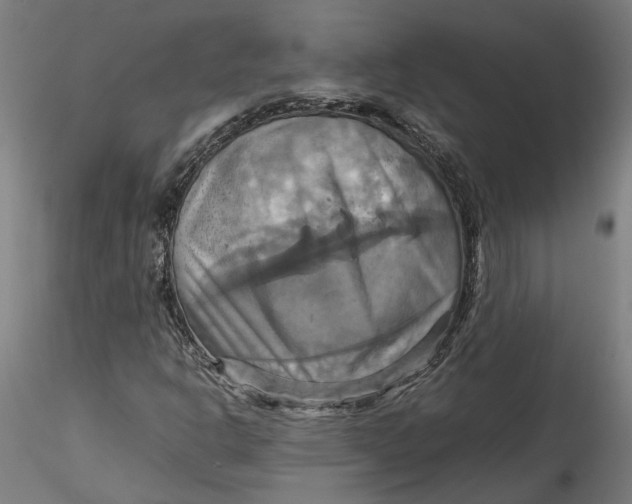 X0000115561302200911271447