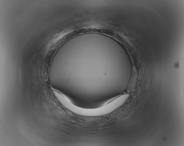 X0000115561303200911271447