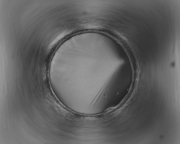 X0000115561306200911271448