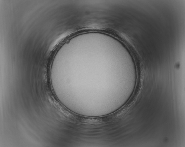 X0000115561307200911271448