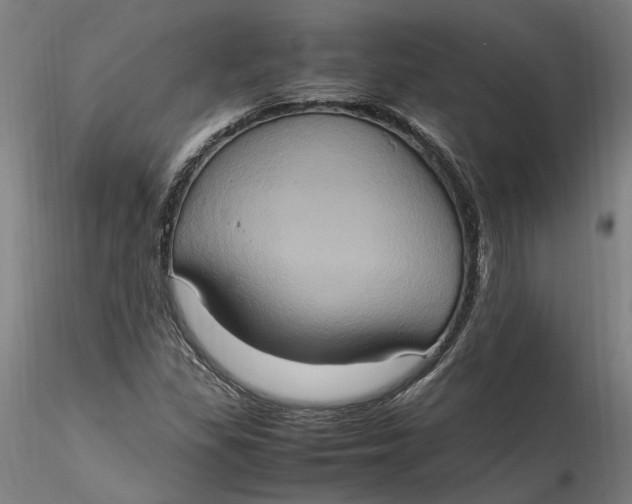 X0000115561309200911271448