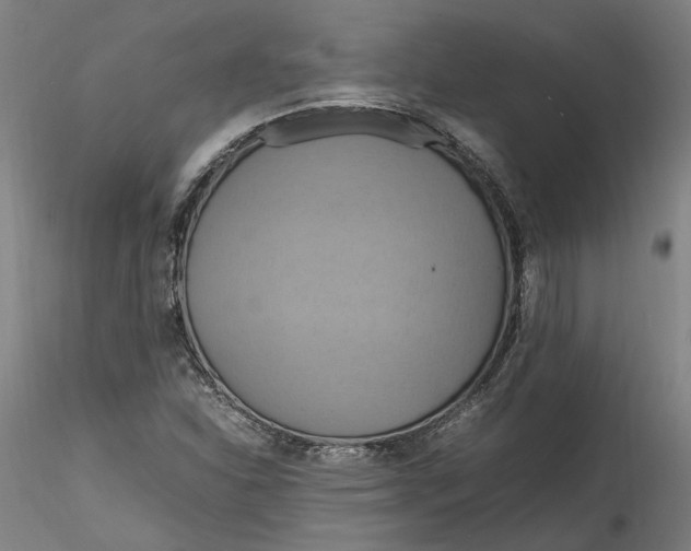 X0000115561310200911271448