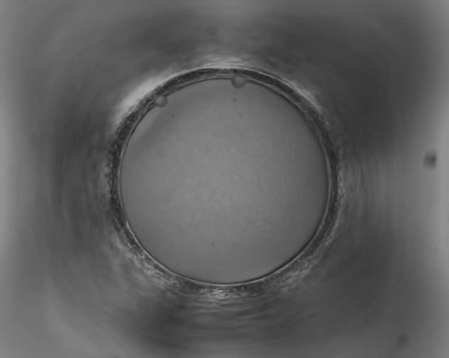 X0000115561311200911271448