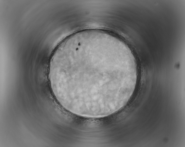 X0000115561314200911271448