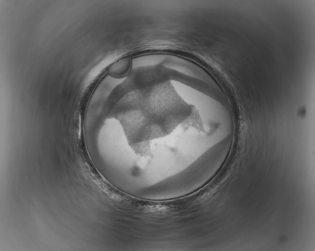 X0000115561317200911271448