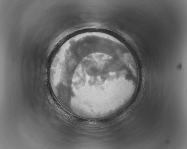 X0000115561318200911271448