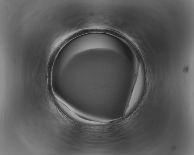 X0000115561319200911271448