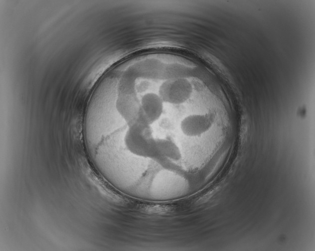 X0000115561321200911271448