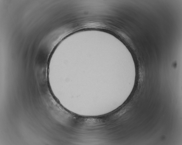 X0000115561322200911271448