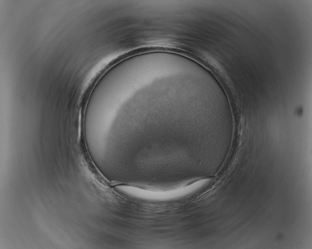 X0000115561323200911271448