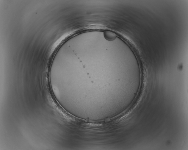 X0000115561325200911271448