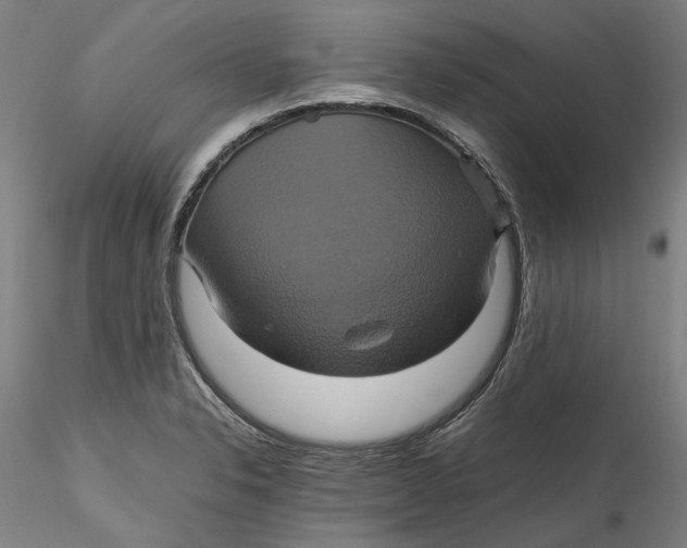 X0000115561326200911271448