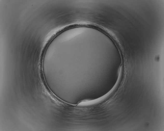 X0000115561327200911271448