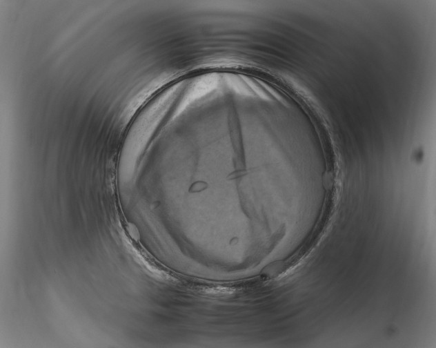 X0000115561329200911271448