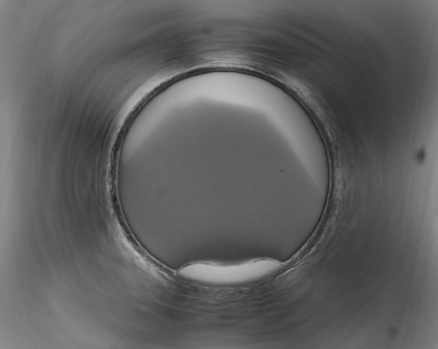 X0000115561331200911271448