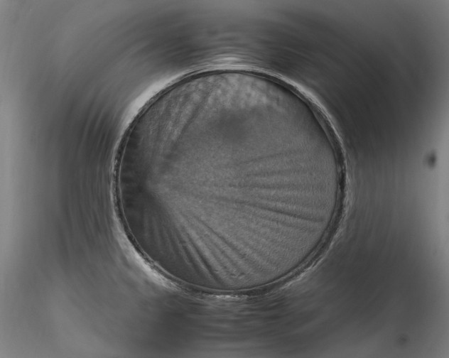 X0000115561333200911271448