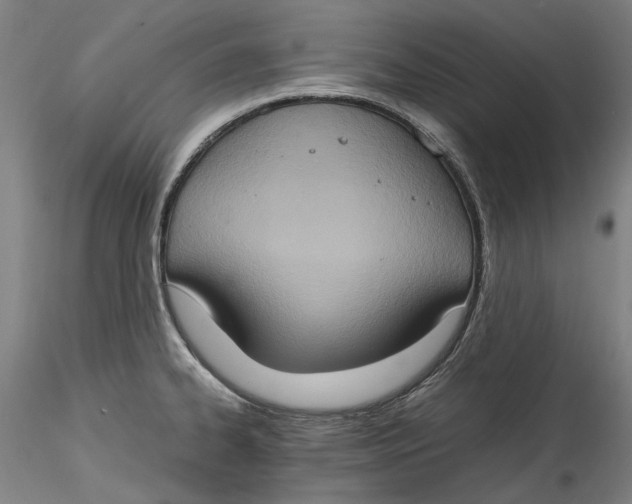 X0000115561334200911271448