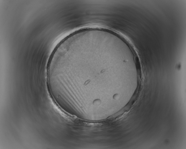 X0000115561335200911271448