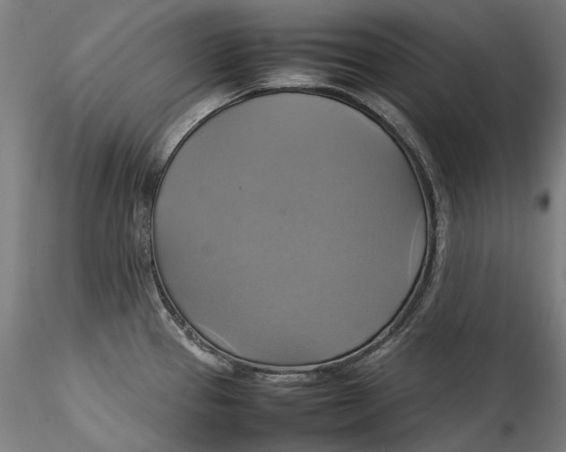 X0000115561337200911271448