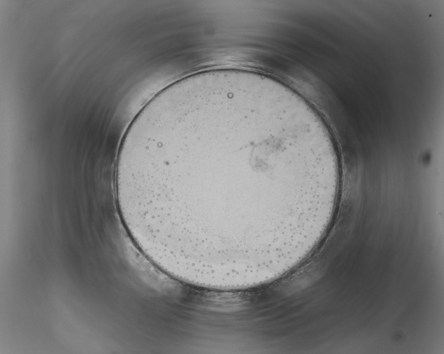 X0000115561338200911271448