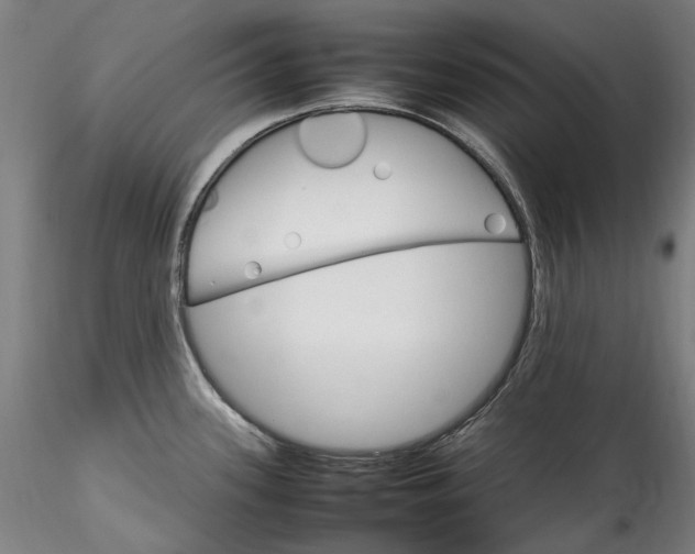 X0000115561339200911271448