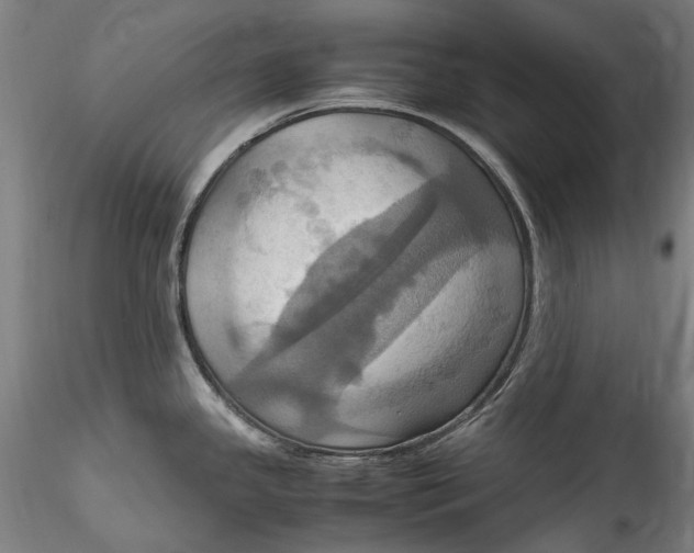 X0000115561341200911271448