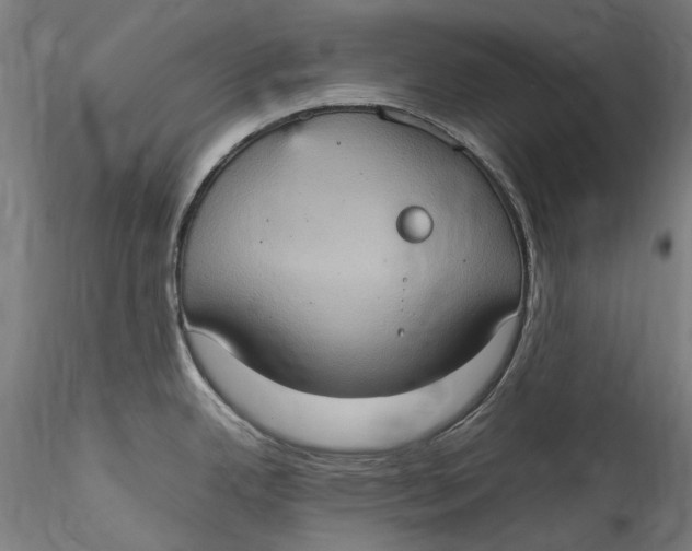 X0000115561342200911271448