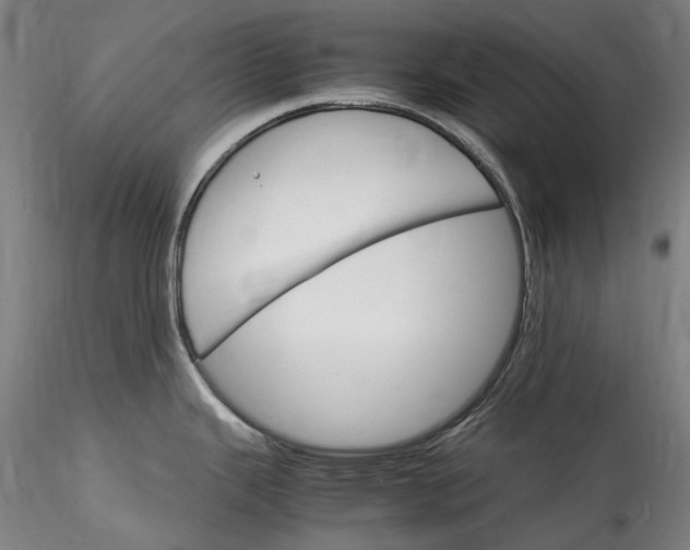 X0000115561343200911271448