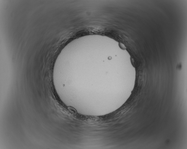 X0000115561345200911271447