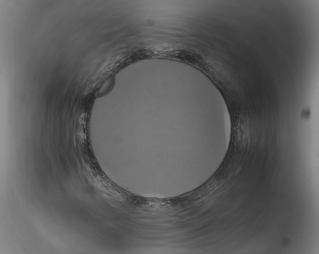 X0000115561346200911271447