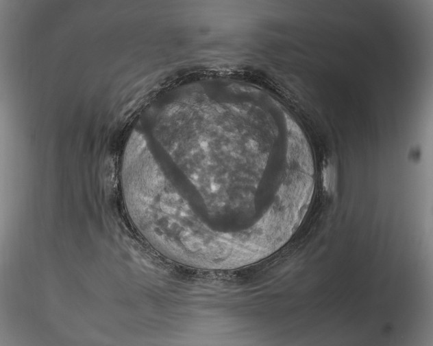 X0000115561347200911271447