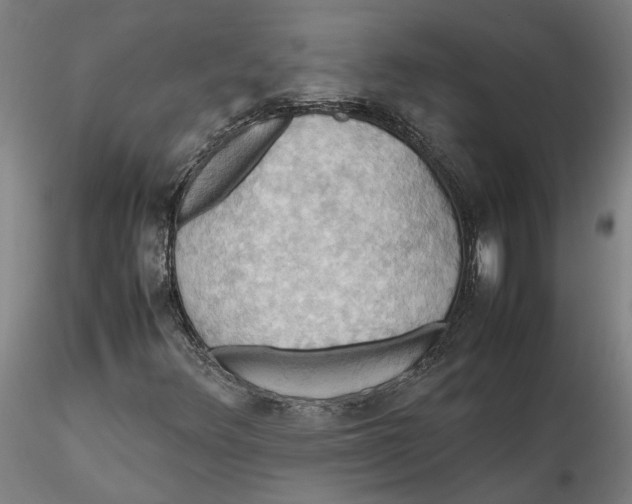 X0000115561348200911271447